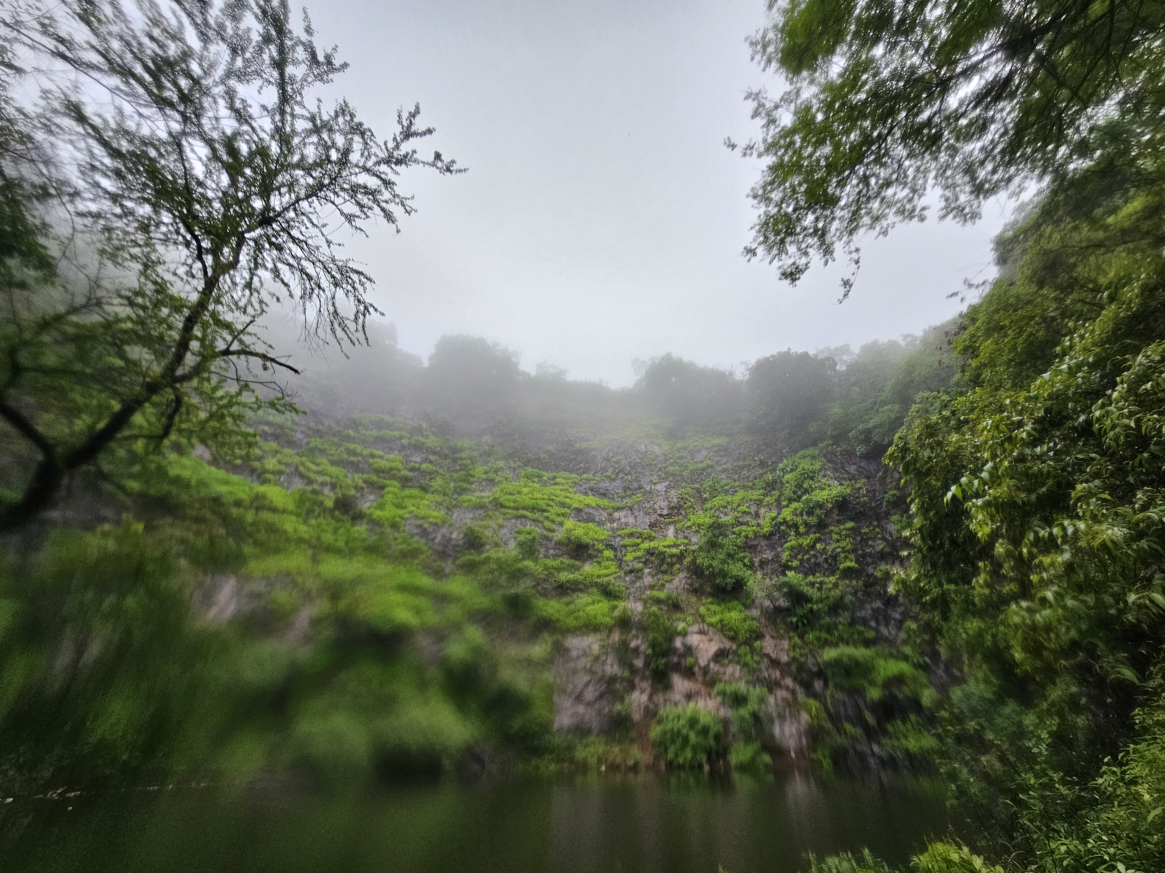 Mumbai-outskirts-forest-hike